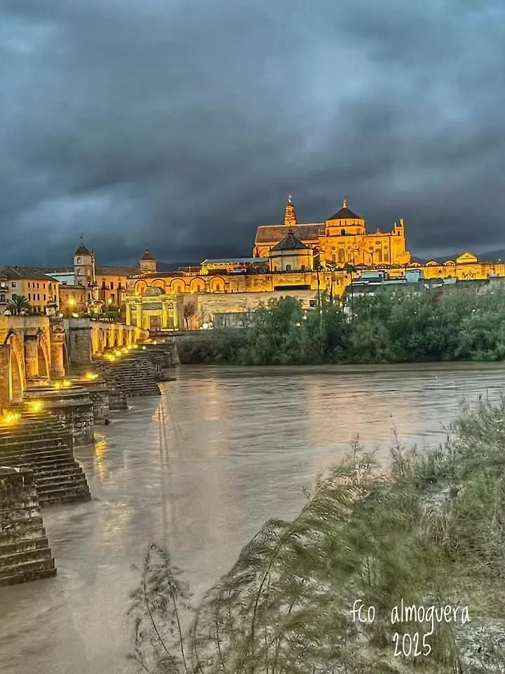 Precioso Loft El Arcangel II Junto A La Ribera Cordoba Spain