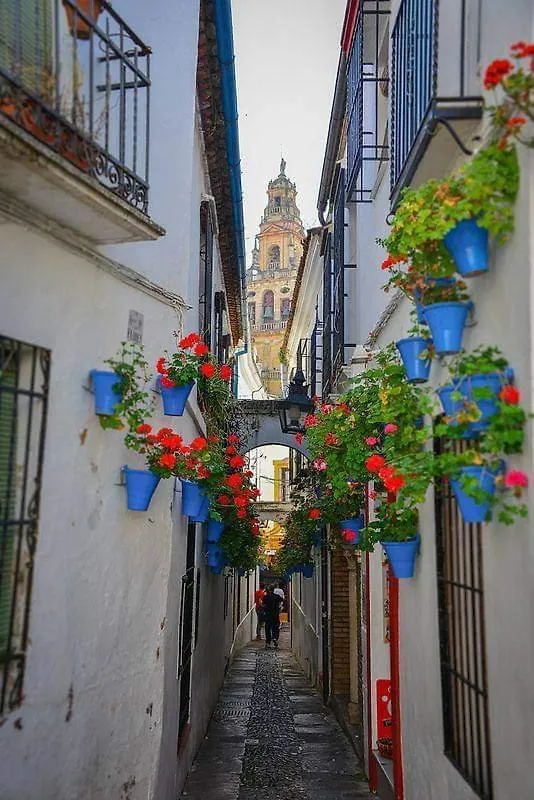 Apartment Precioso Loft El Arcangel II Junto A La Ribera Cordoba